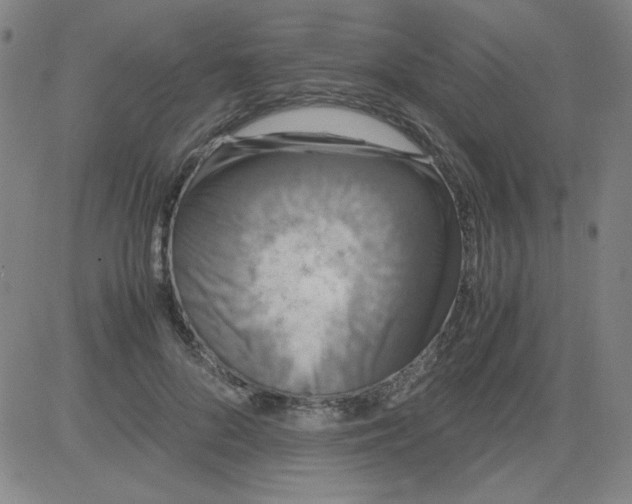 X0000081490696200702021923