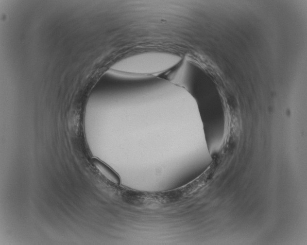 X0000081490697200702021923