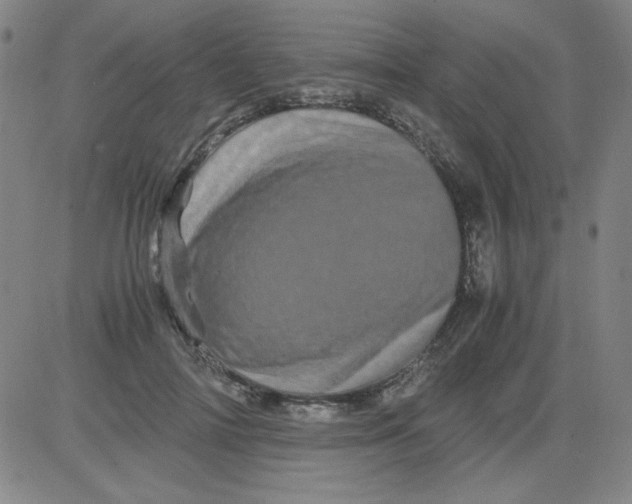 X0000081490698200702021923