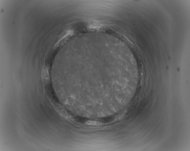 X0000081490699200702021923