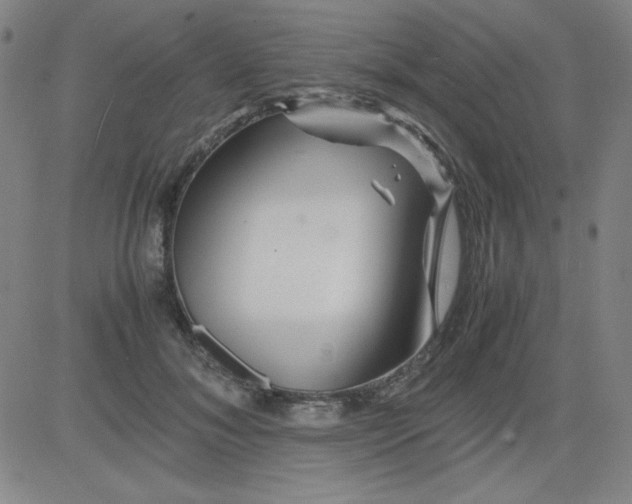 X0000081490700200702021923