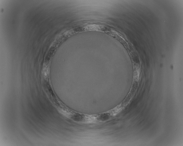 X0000081490701200702021923