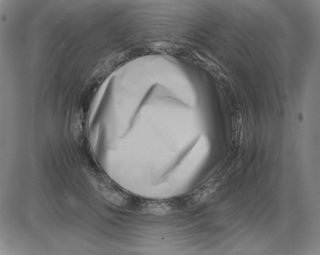 X0000081490702200702021923