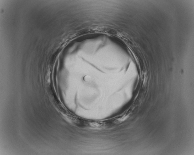 X0000081490703200702021923