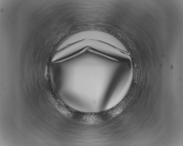 X0000081490704200702021923