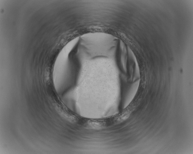 X0000081490706200702021923