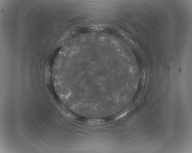 X0000081490707200702021923