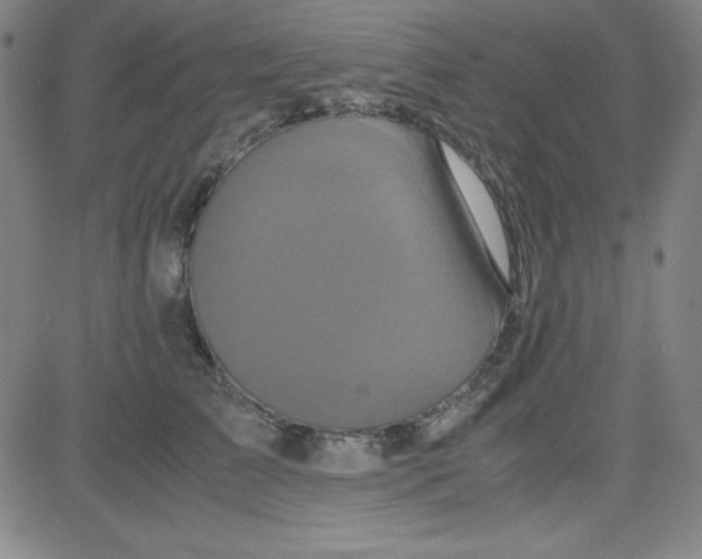 X0000081490709200702021923