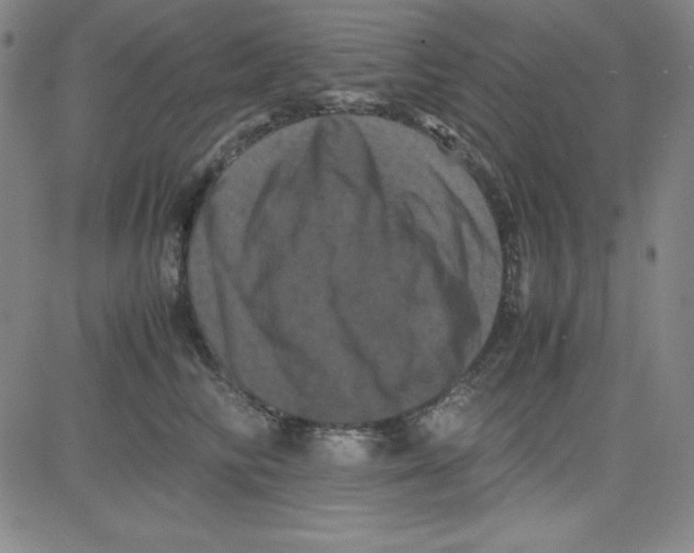 X0000081490710200702021923