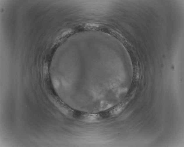 X0000081490711200702021923