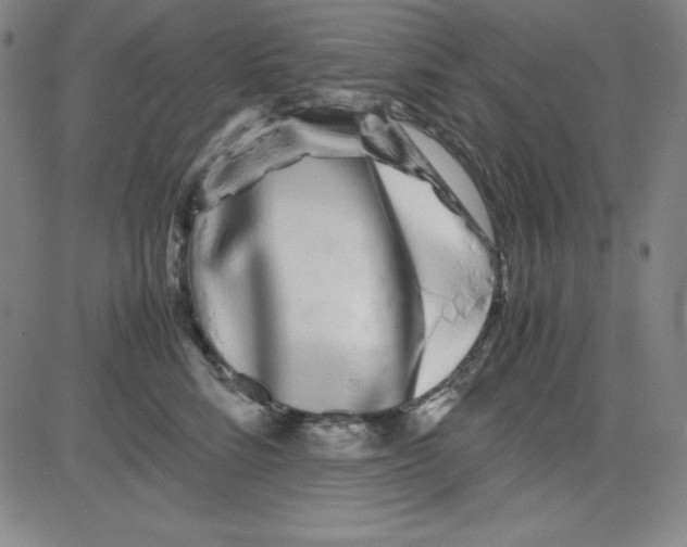 X0000081490712200702021923