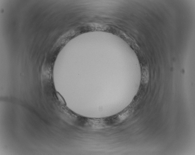 X0000081490713200702021923