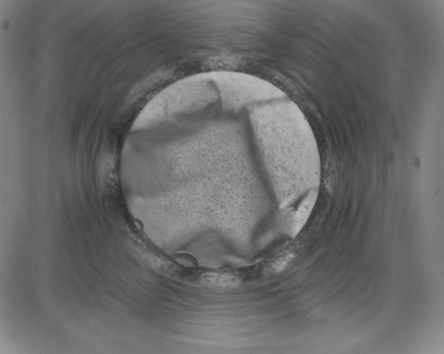 X0000081490714200702021923