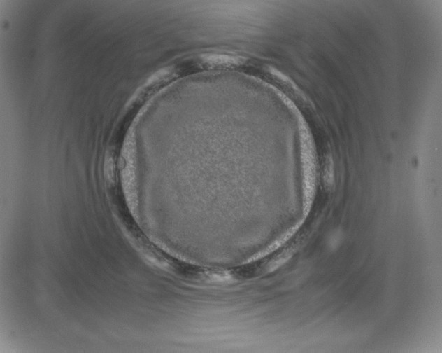 X0000081490715200702021923