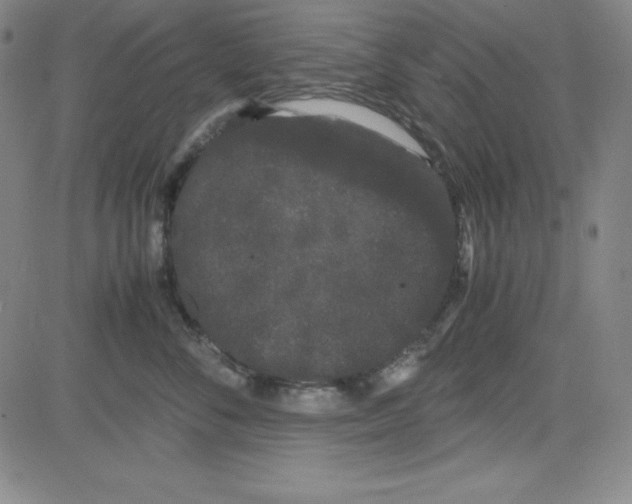 X0000081490716200702021923