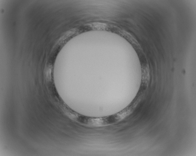 X0000081490717200702021923