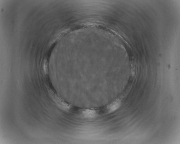 X0000081490718200702021923