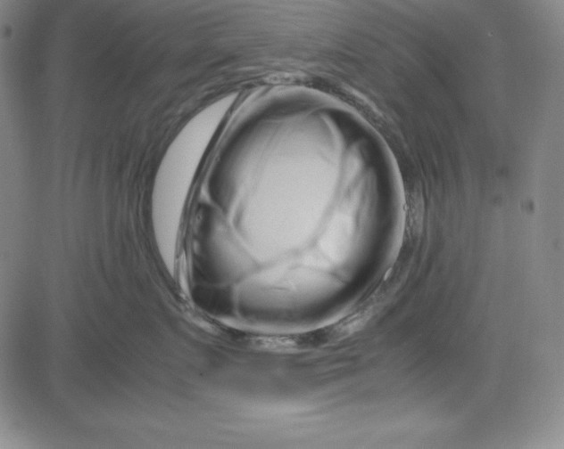 X0000081490719200702021923