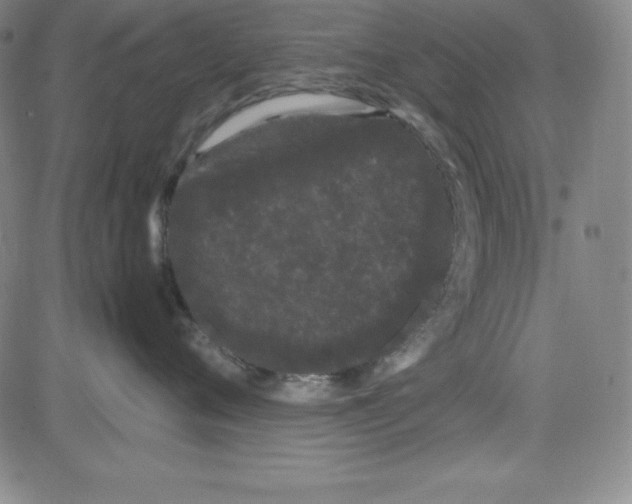 X0000081490720200702021923