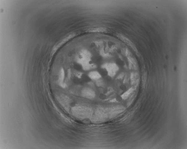 X0000081490721200702021922