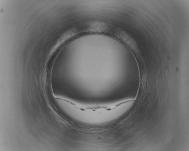 X0000081490722200702021922