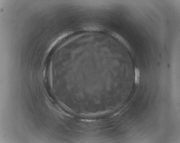 X0000081490723200702021922