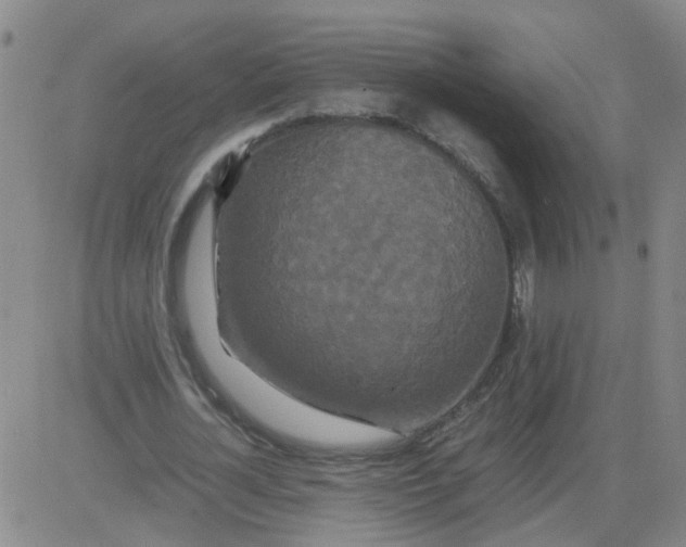 X0000081490724200702021922