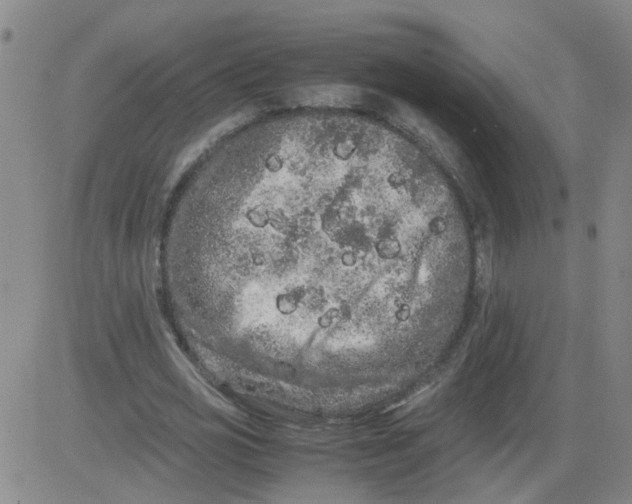 X0000081490725200702021922