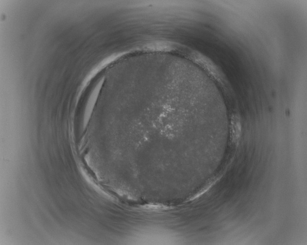 X0000081490726200702021922