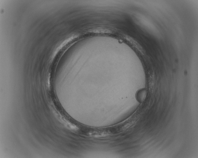 X0000081490727200702021922