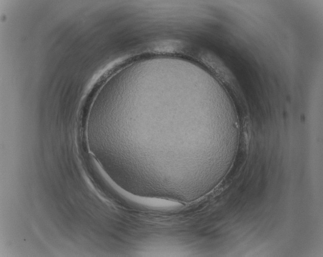 X0000081490728200702021922