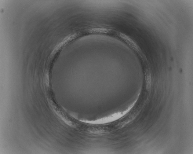 X0000081490729200702021922