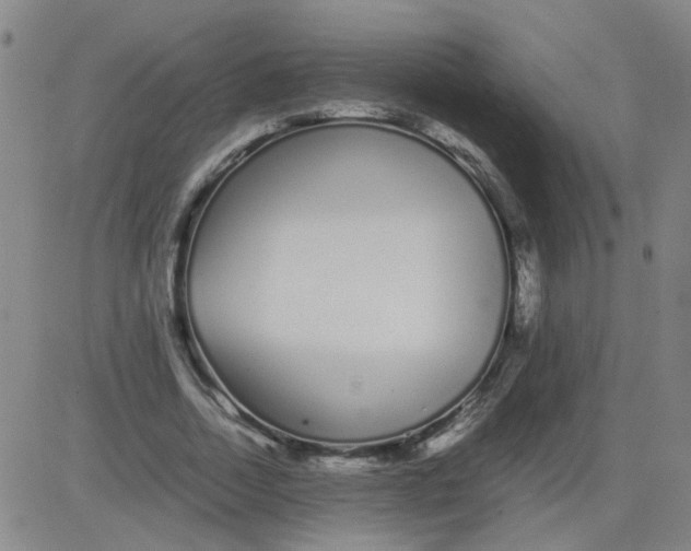 X0000081490730200702021922