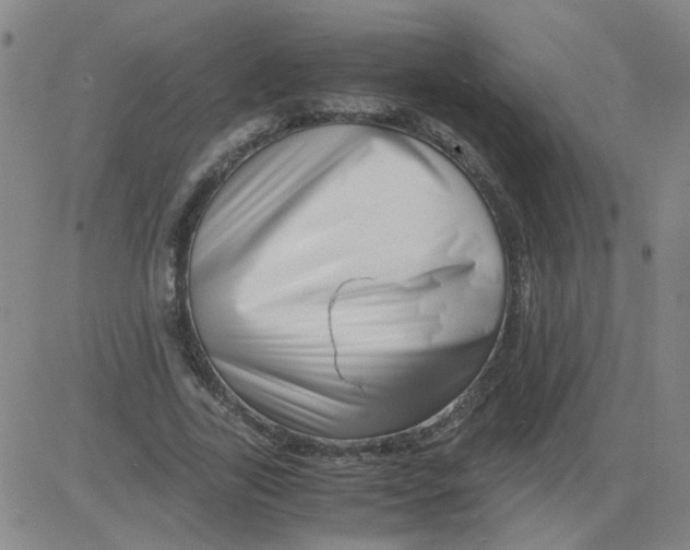 X0000081490731200702021922