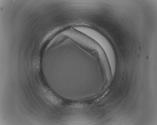 X0000081490732200702021922