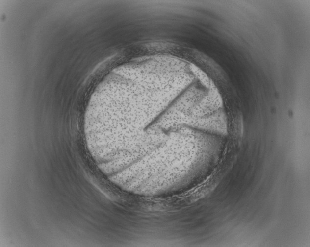 X0000081490733200702021922