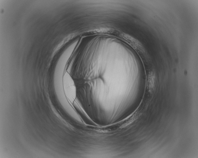 X0000081490734200702021922