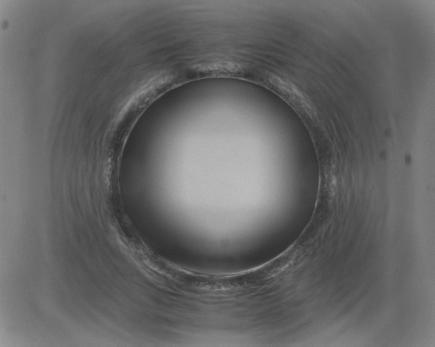 X0000081490735200702021922