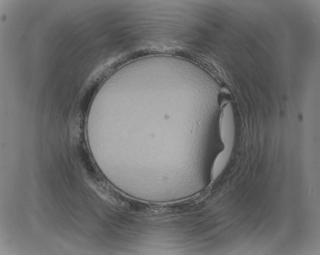 X0000081490736200702021922