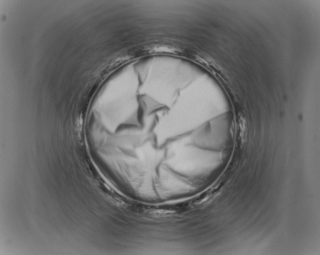 X0000081490737200702021922