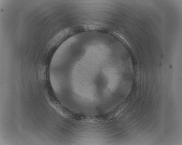 X0000081490738200702021922