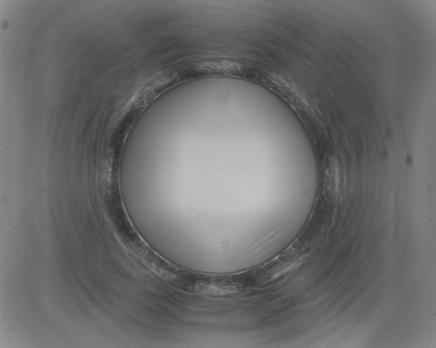 X0000081490739200702021922