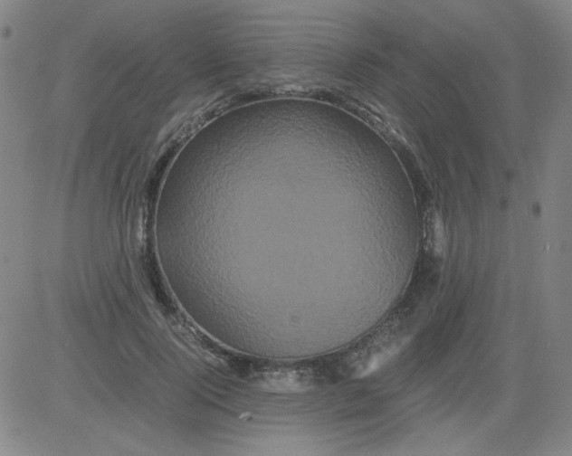 X0000081490740200702021922