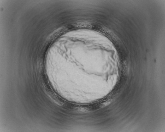 X0000081490741200702021922