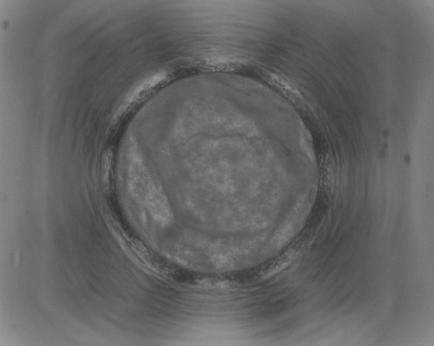 X0000081490742200702021922