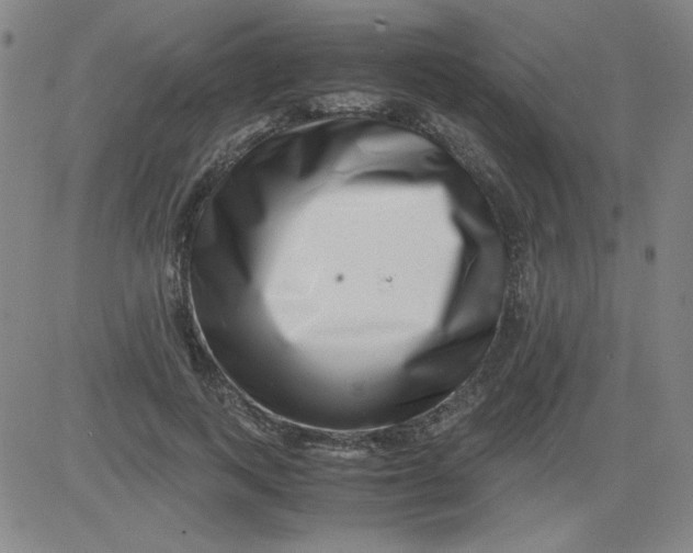 X0000081490743200702021922