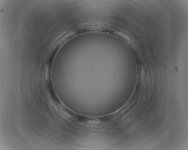 X0000081490744200702021922