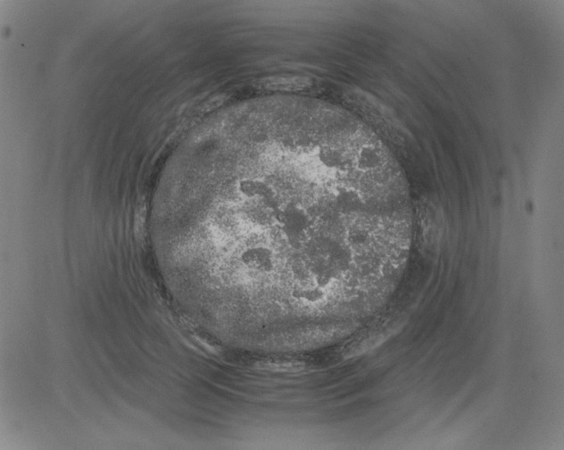 X0000081490745200702021922