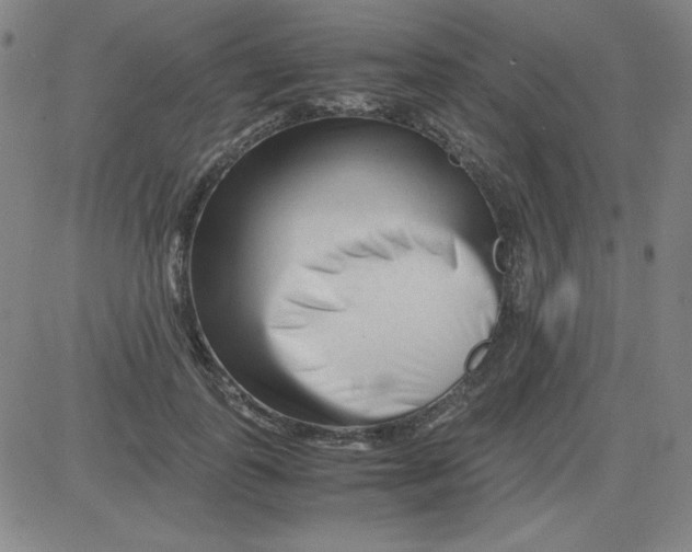 X0000081490747200702021922