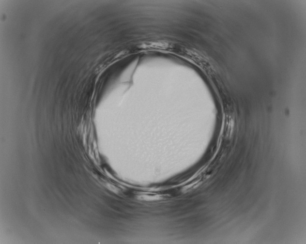 X0000081490749200702021922